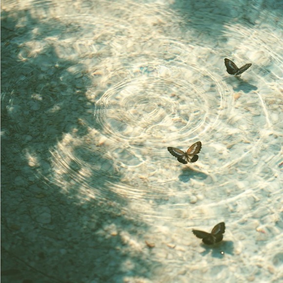 Mood - Picture 1 of 4